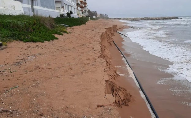 El temporal engulle la arena de Tavernes y deja un escalón de más de medio metro en la playa