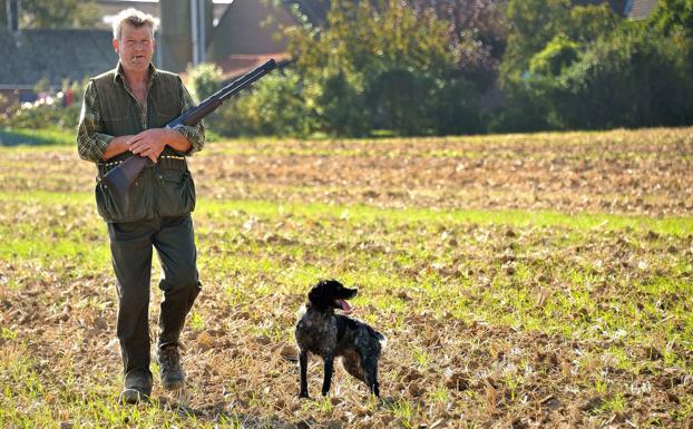 El PSOE se compromete a excluir los perros de caza de la ley de bienestar animal