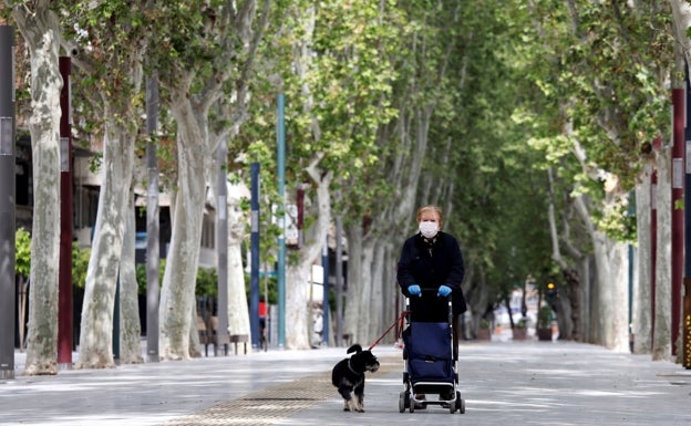 El centro comercial de Carcaixent permite el acceso con mascotas