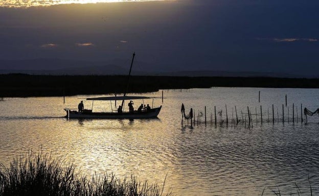 La Confederación garantiza un aporte a la Albufera sin llegar a la petición del Ayuntamiento