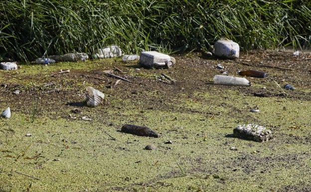 Los ecologistas cuestionan la eficacia de las inversiones del Consell en la Albufera