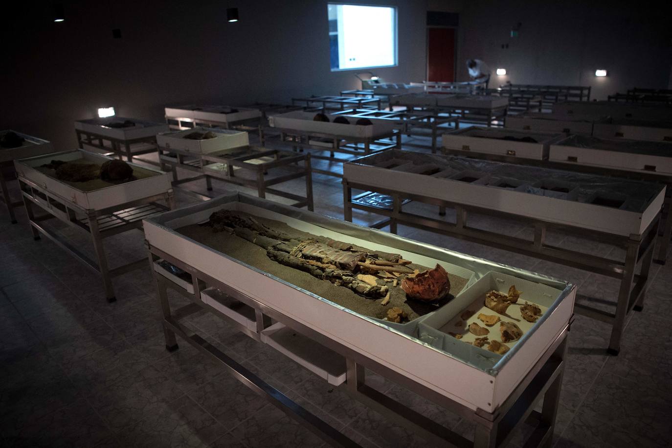 Las momias más antiguas del mundo, al descubierto