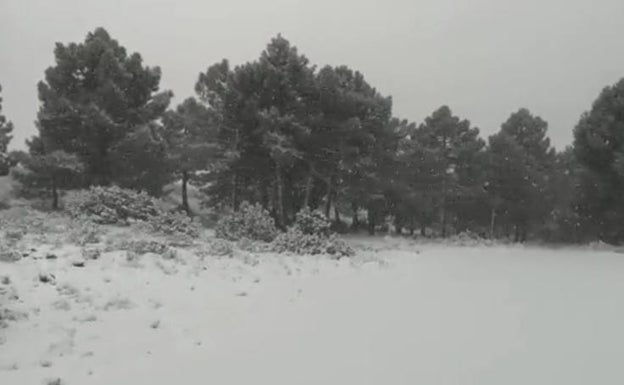 La nieve cuaja en el interior y el viento supera los 60 kilómetros por hora en el aeropuerto