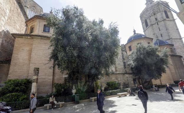 La Catedral vuelve a pedir la retirada del jardín de la calle Micalet por las humedades