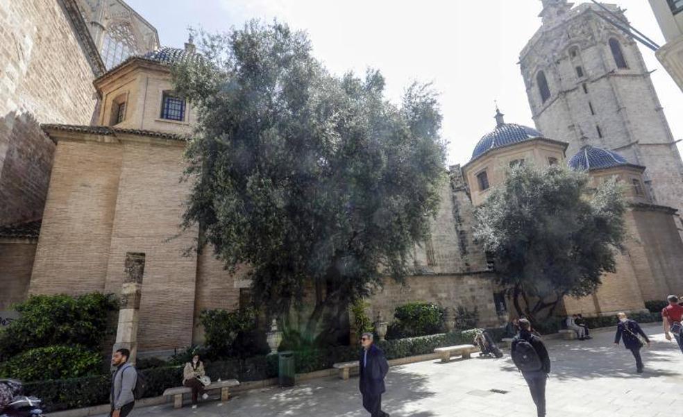 La Catedral vuelve a pedir la retirada del jardín de la calle Micalet por las humedades
