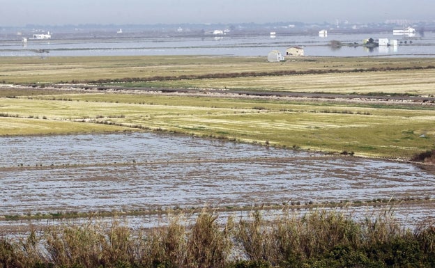 Los regantes arrancan un compromiso por escrito que llevará más agua a la Albufera