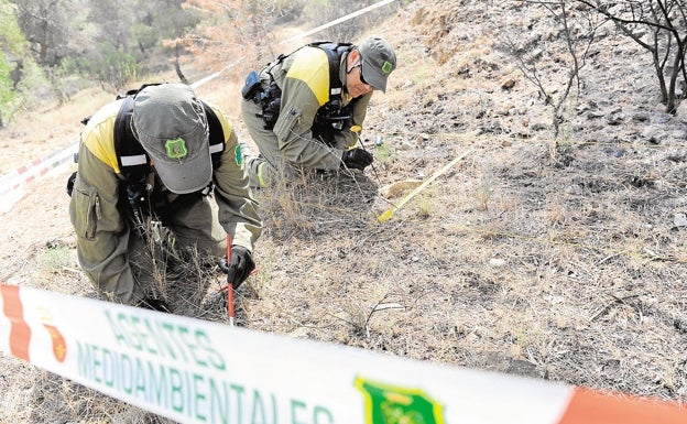 Un agente medioambiental sufre una agresión durante un control de caza en Castellón