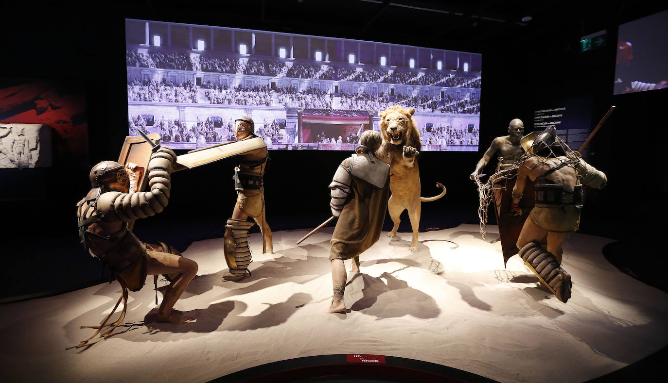 El MARQ descubre el mundo de los gladiadores con una exposición inédita en España