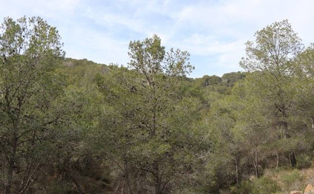 Sagunto exige que la montaña de Romeu recupere la declaración de Paraje Natural