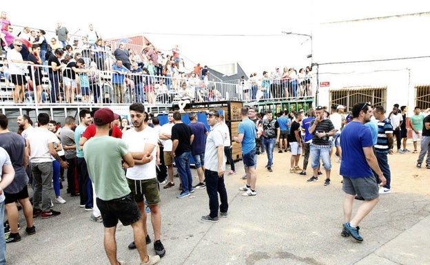 La polémica en el gobierno de Paiporta por el permiso para los bous al carrer sigue trayendo cola