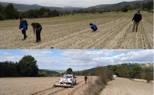 Ibi ahonda en los orígenes de su paisaje rural