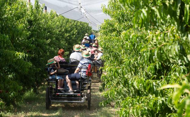 Dónde está Alcarràs, el pueblo de 9.000 vecinos con una vida de película