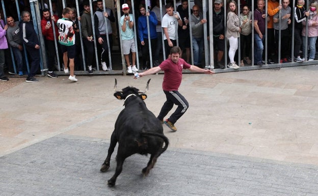 Susto en las fiestas de Teulada al escaparse un toro y recorrer toda la avenida Santa Caterina