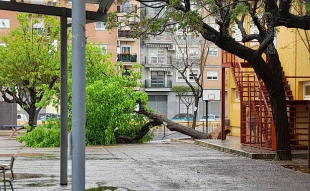 Las lluvias provocan el corte de caminos en varios municipios