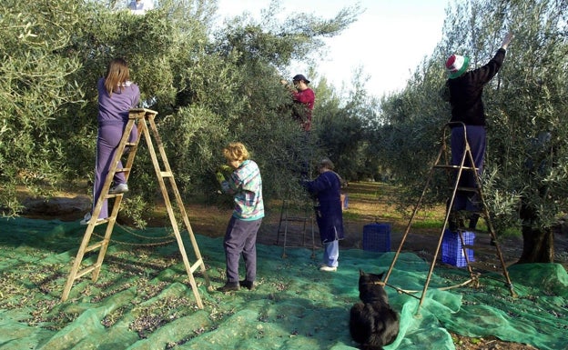 Baja el desempleo ligeramente durante abril en l'Alcoià y el Comtat