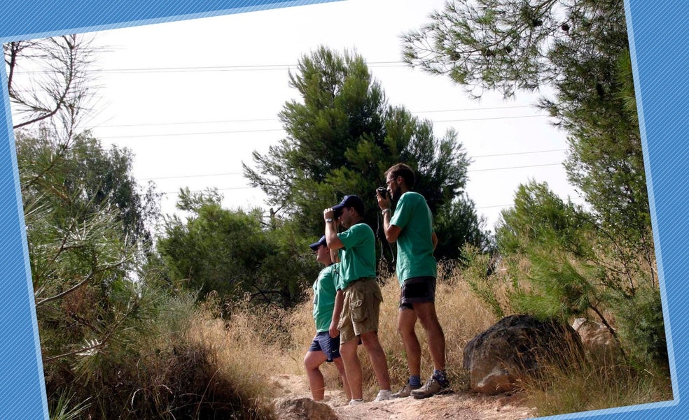 Una mirada a la huerta valenciana desde la Sierra Perenxisa