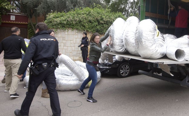 Una banda cultivaba marihuana en ocho chalés alquilados en urbanizaciones de Valencia