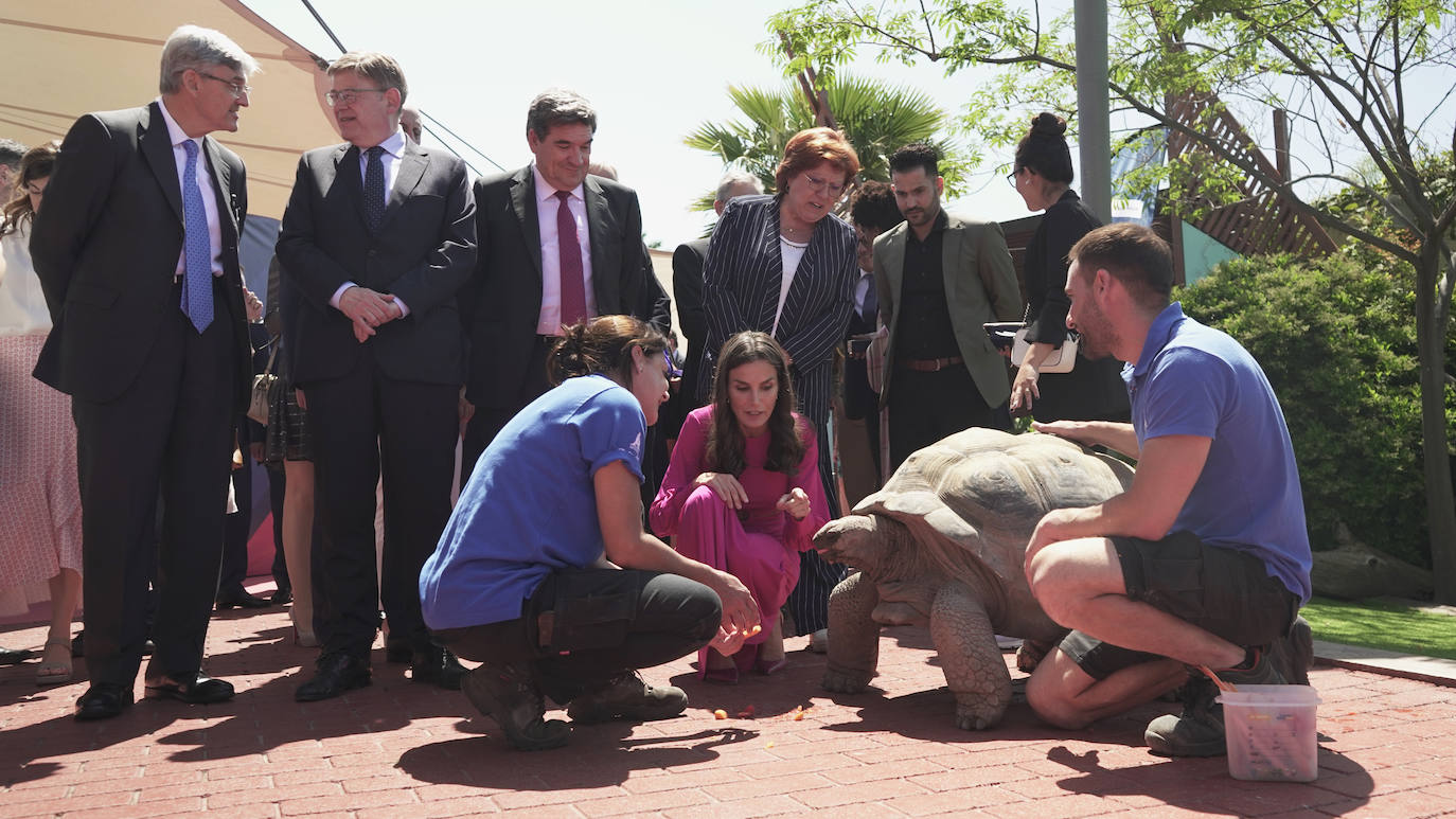 Así ha pasado el día la reina Letizia en Valencia