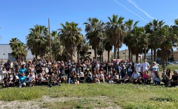 Alboraya acoge la quedada de casi un centenar de perros salchicha