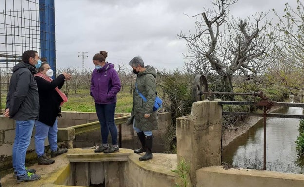 'Catarroja Sostenible' limpia la acequia de la Font de la Rambleta para restablecer su capacidad hídrica