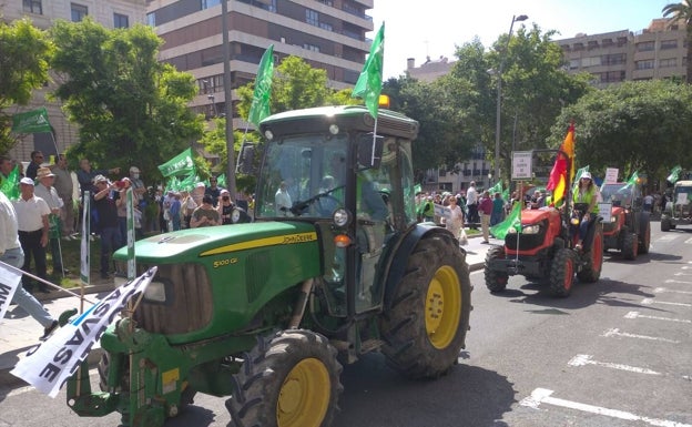 Cerca de 4.000 personas defienden en Alicante el trasvase Tajo-Segura