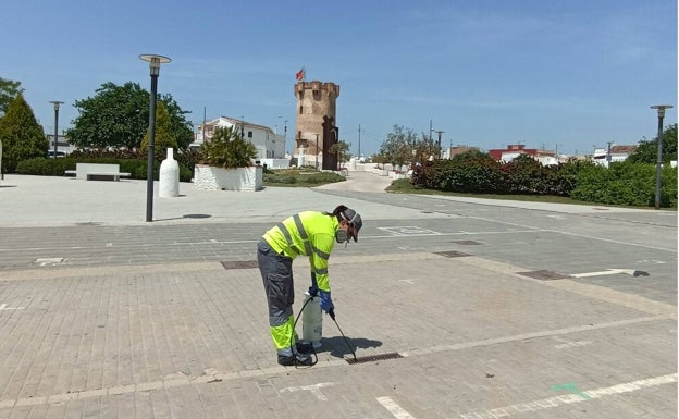 Paterna aplica una una nueva técnica biológica y sin químicos contra el mosquito tigre