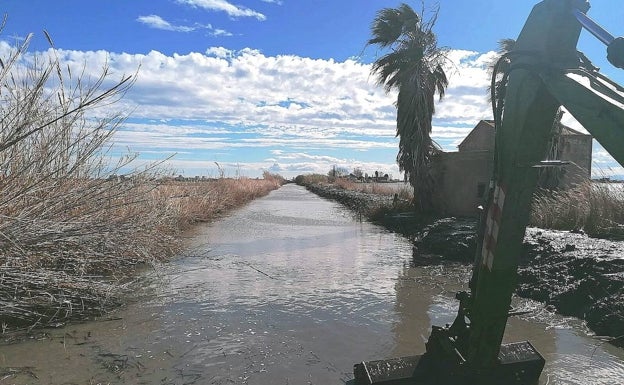 El Ayuntamiento de Valencia triplica el presupuesto para dragar la Albufera y sus canales