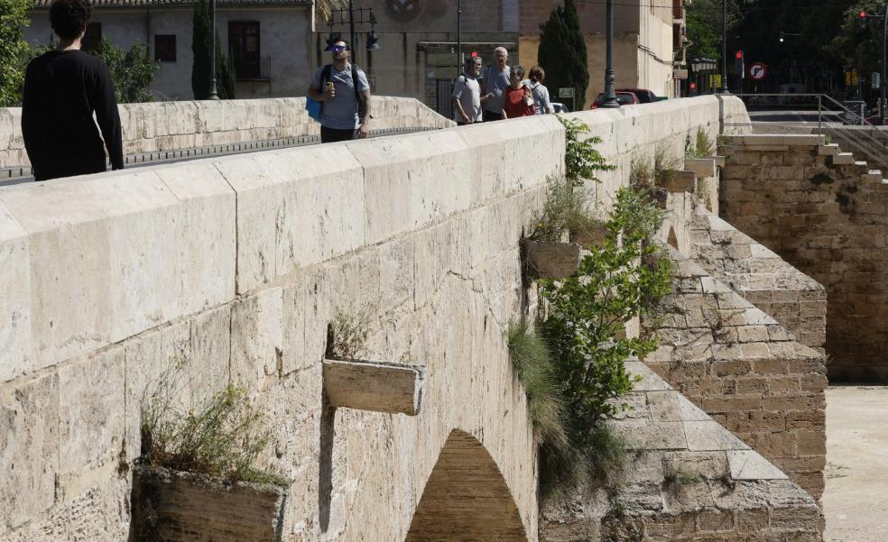 Los puentes del cauce piden mejoras
