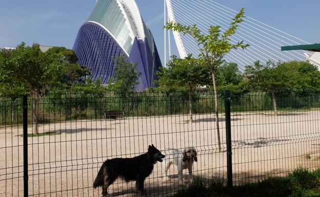 Los mejores rincones del Jardín del Turia para perros