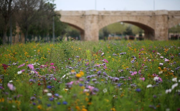 El oasis verde que vertebra Valencia