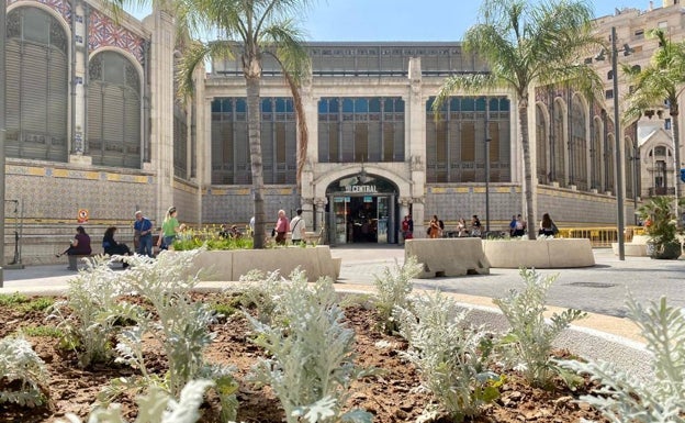 Culmina la jardinería de las nuevas plazas alrededor de la Lonja y el Mercado Central