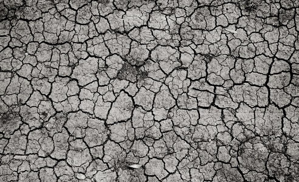 Sobre el cambio climático
