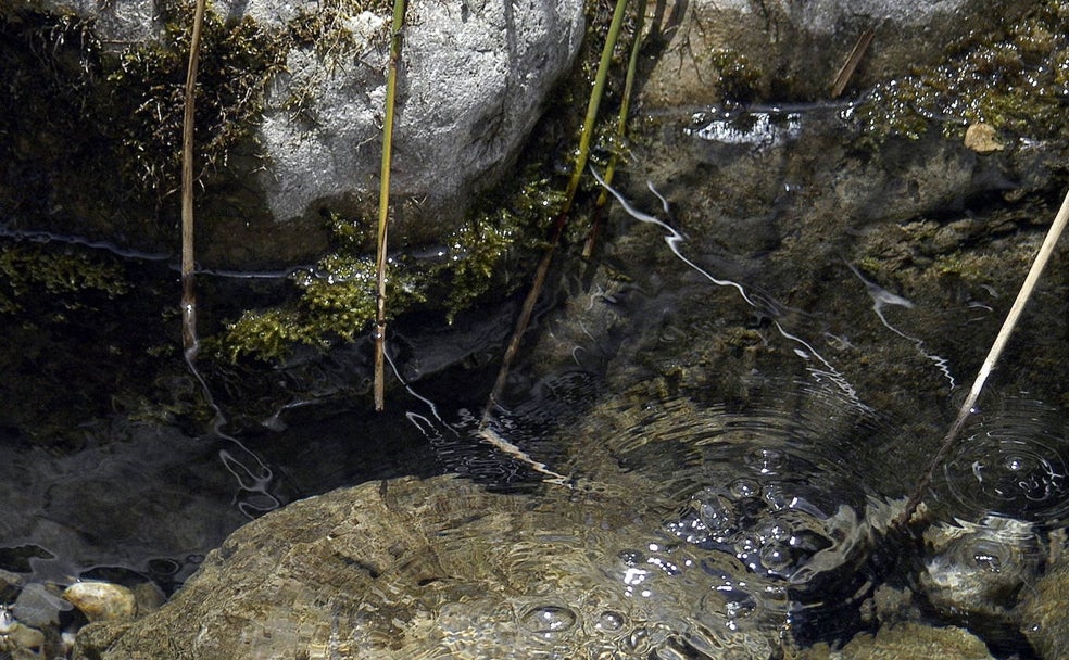 Nacimiento del Río Palancia; una andanza entre el agua y la flora