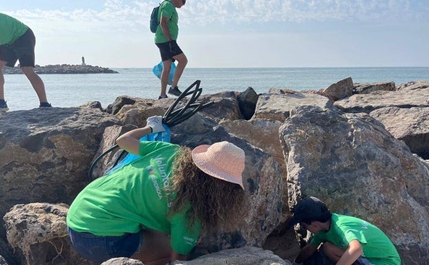 Voluntarios de Iberdrola limpian la playa de Canet d'En Berenguer