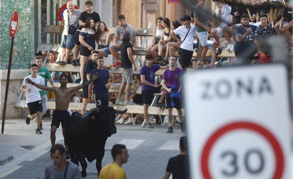 Más de 13.000 festejos convertirán 2022 en el año con más bous al carrer de la historia