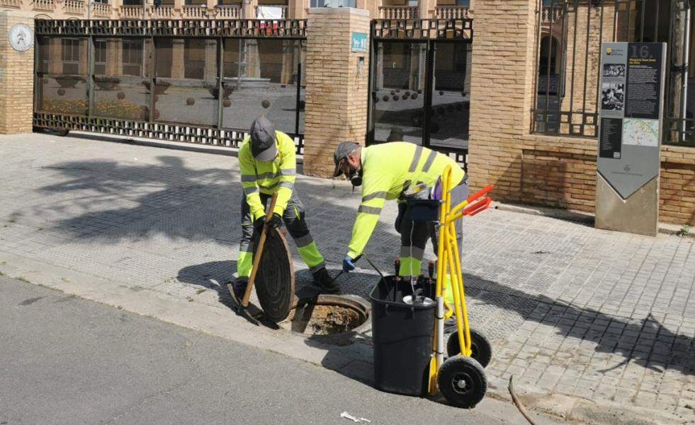 Cien toneladas de veneno para atajar las plagas de ratas e insectos en Valencia