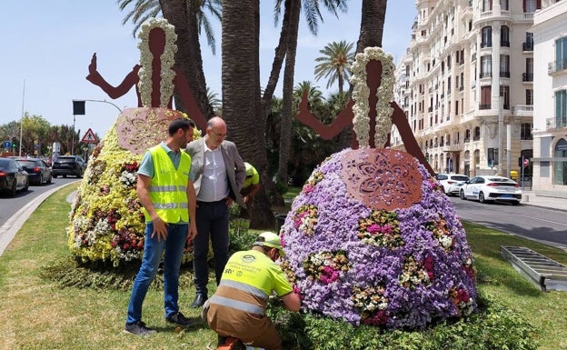 Alicante instala esculturas de flores para rendir homenaje a las belleas del foc