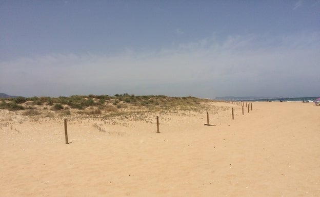 Tavernes exige la retirada de la Bandera Negra al tildar de «falsos» los argumentos de los ecologistas