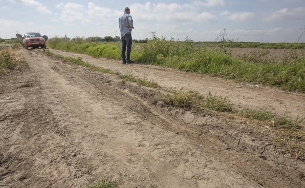 Catarroja repara los caminos de tierra del marjal para acabar la siembra del arroz