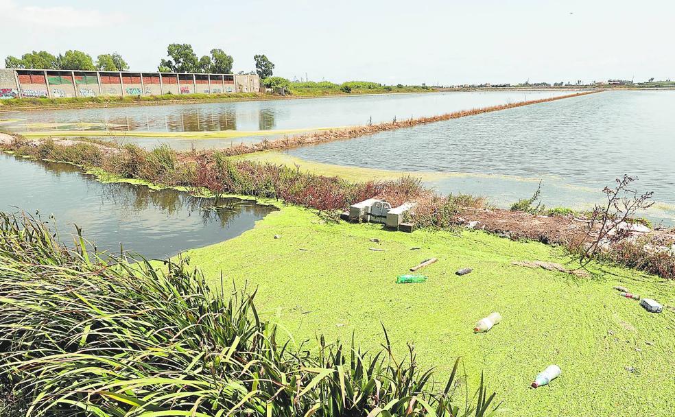 Los cinco retos para salvar la Albufera