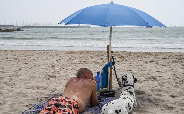 La playa para perros de Valencia se amplía