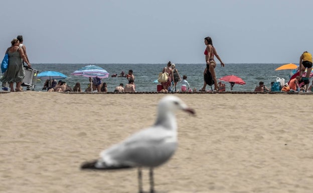 Sanidad insta a los ayuntamientos a prohibir fumar en la playa