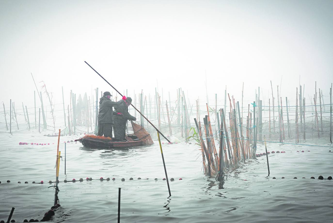 Las mejores imágenes de la Albufera