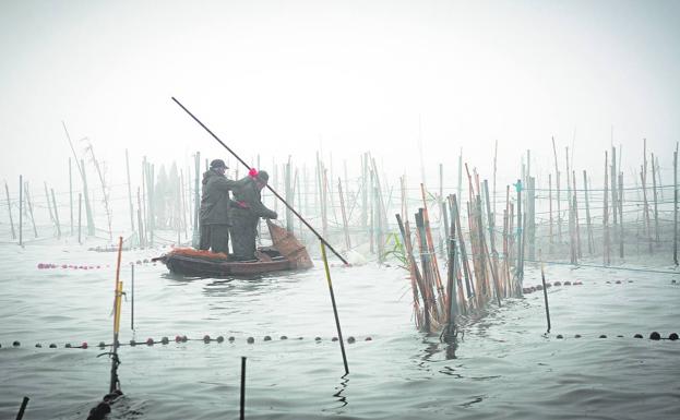 Las mejores imágenes de la Albufera