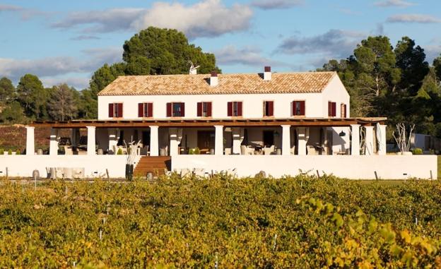 Enoturismo y team-building en la bodega Clos Cor Ví