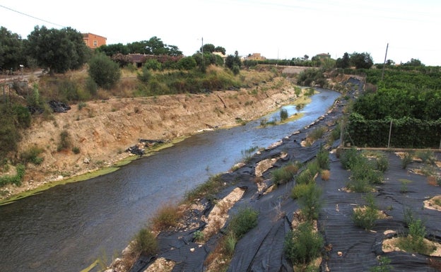 El triunfo frente a las cañas invasoras del cauce del Girona