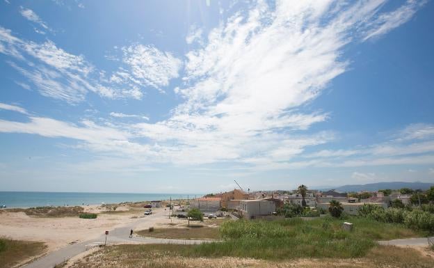 Denuncian «plagas» de cucarachas y mosquitos en barrios de costa y montaña de Gandia