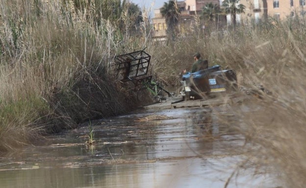 Adjudican el dragado de siete canales navegables en la Albufera