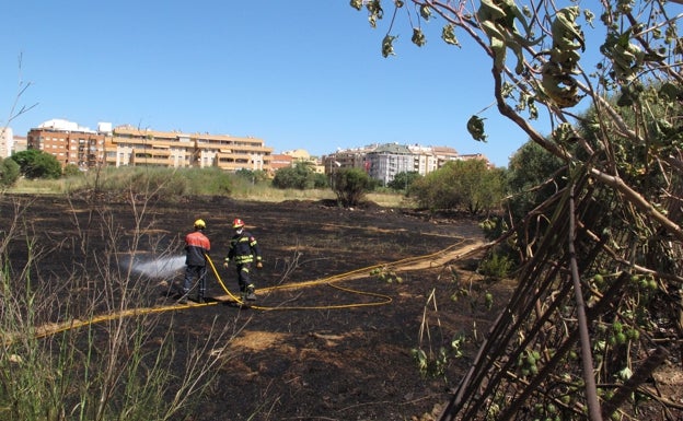 Un incendio calcina una parte de un solar de matorral en Dénia