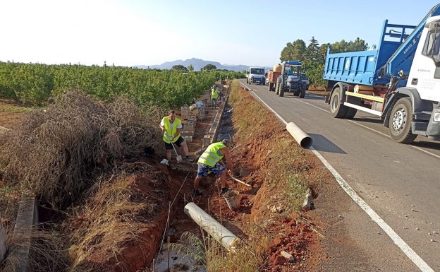 Algemesí contrata a 112 trabajadores agrícolas durante el verano